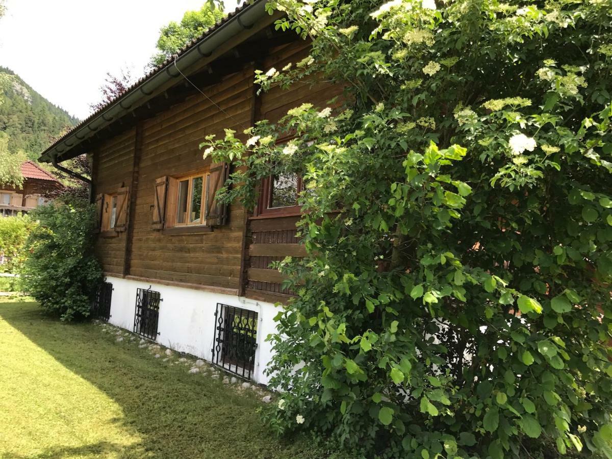 Ferienhaus Ella&Puck Bad Mitterndorf Exterior photo